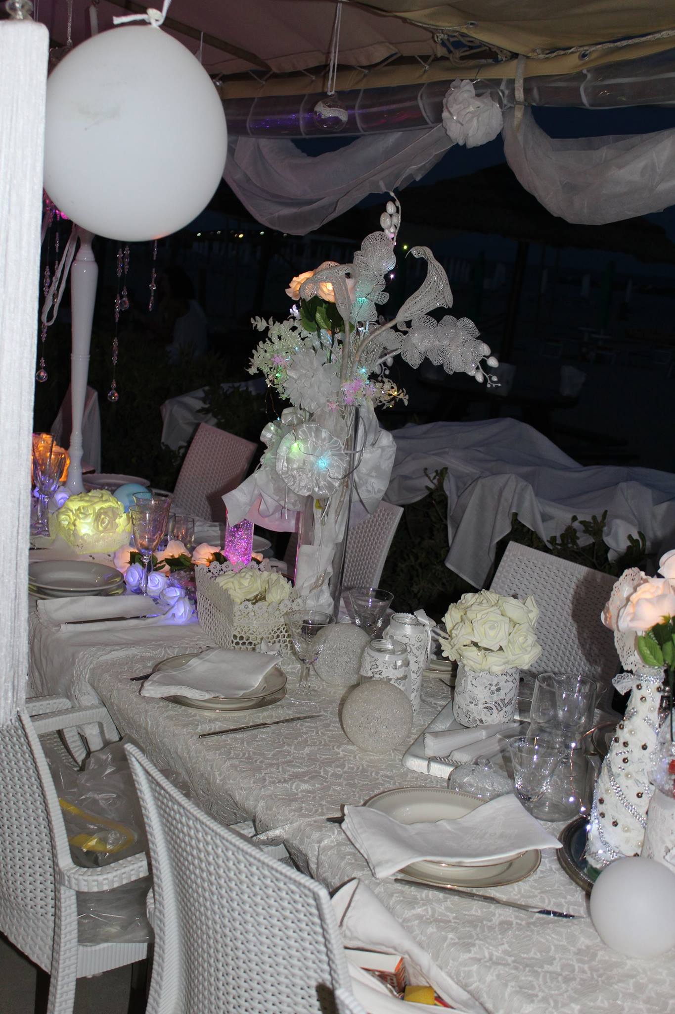 Foto 26 di Cena in Bianco © 2017